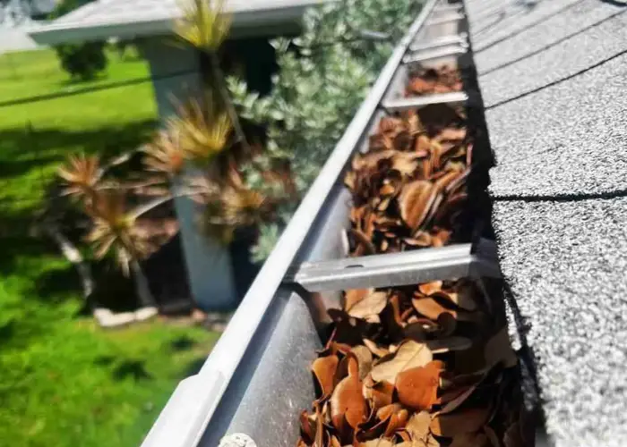 Gutter Cleaning Damascus home page